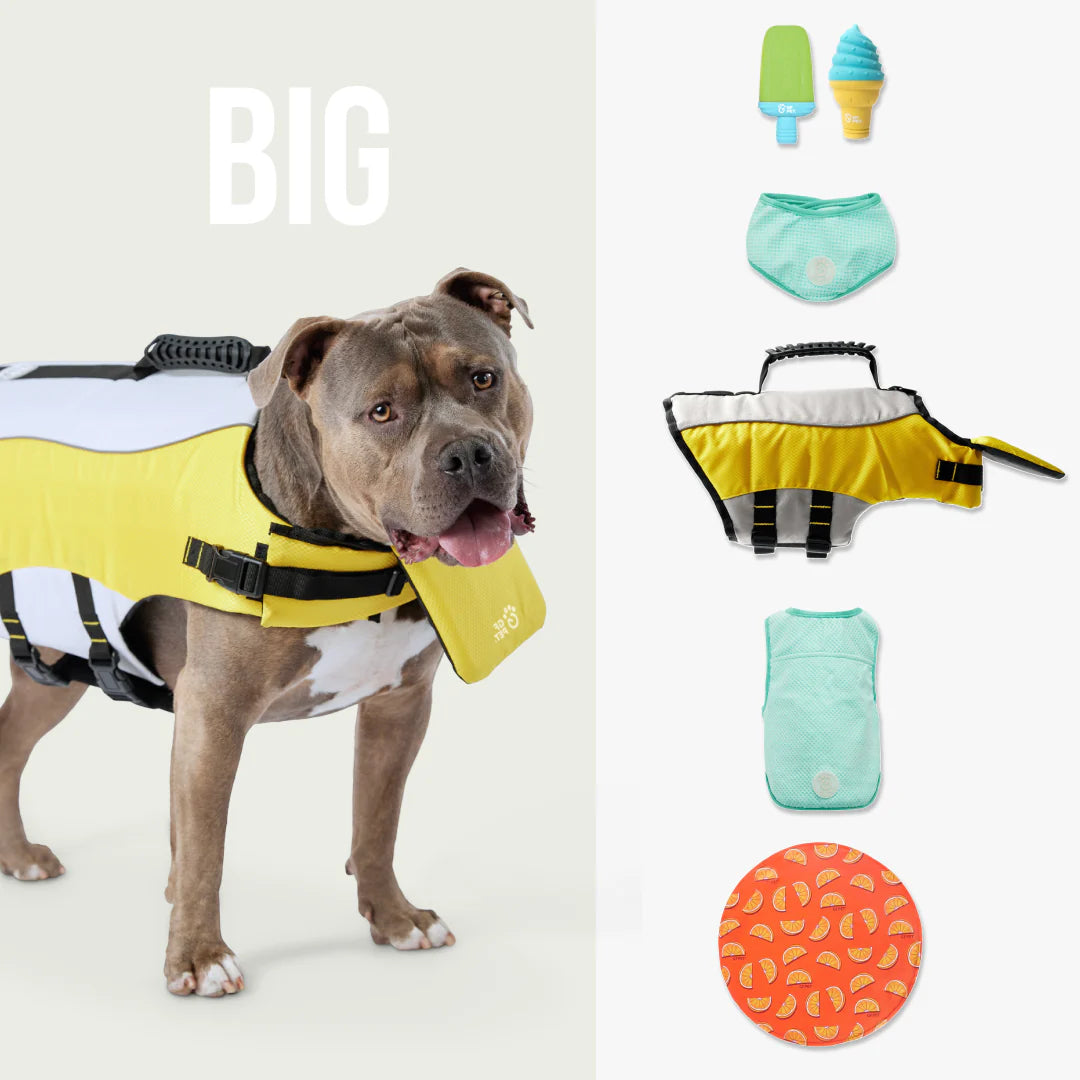 GF-Pet - Pack completo de enfriamiento para el verano | Perro grande