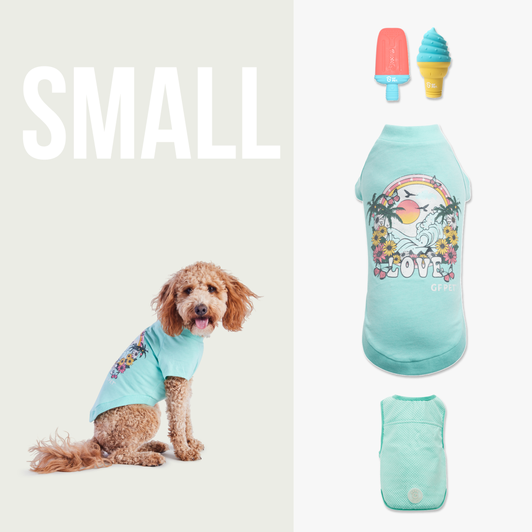 Cool & Chic | Set Premium de Enfriamiento de Verano | Perro Pequeño