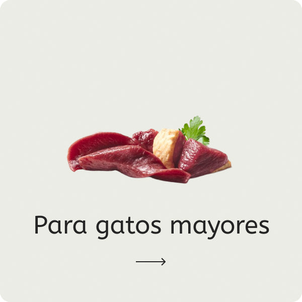 Para gatos mayores