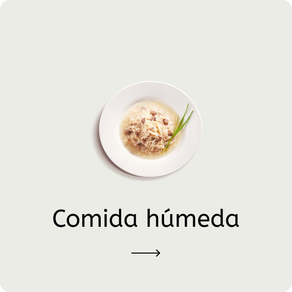 Comida húmeda