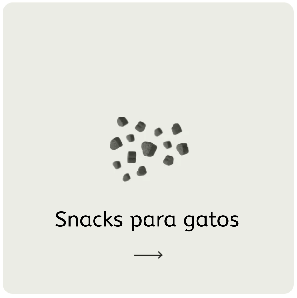 Snacks para gatos