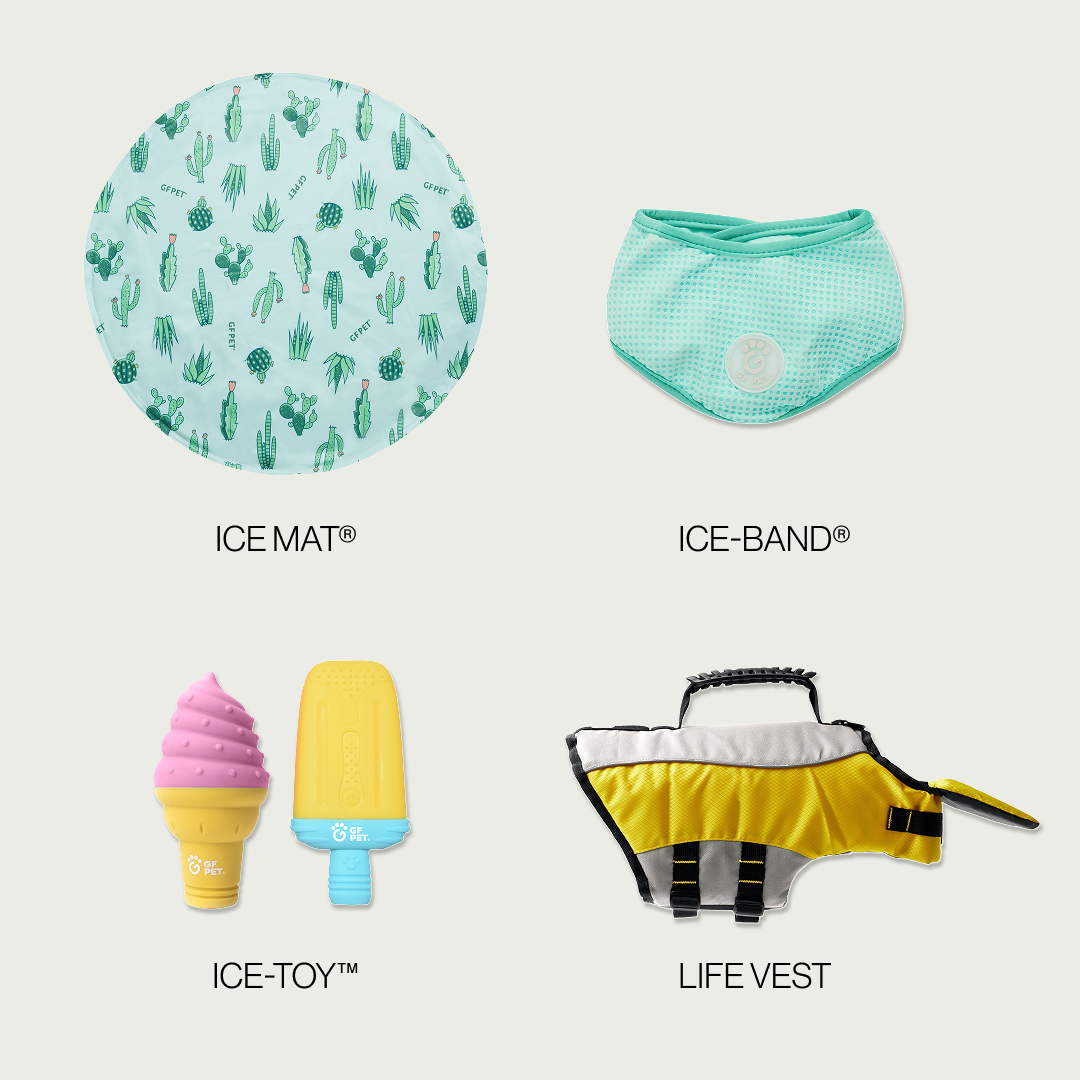 GF-Pet - Set Refrescante Compañero de Playa | Perro Grande