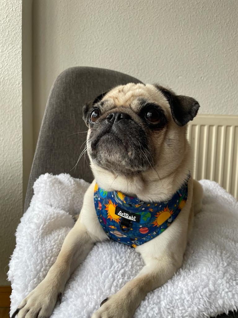 Arnés Ajustable Laika