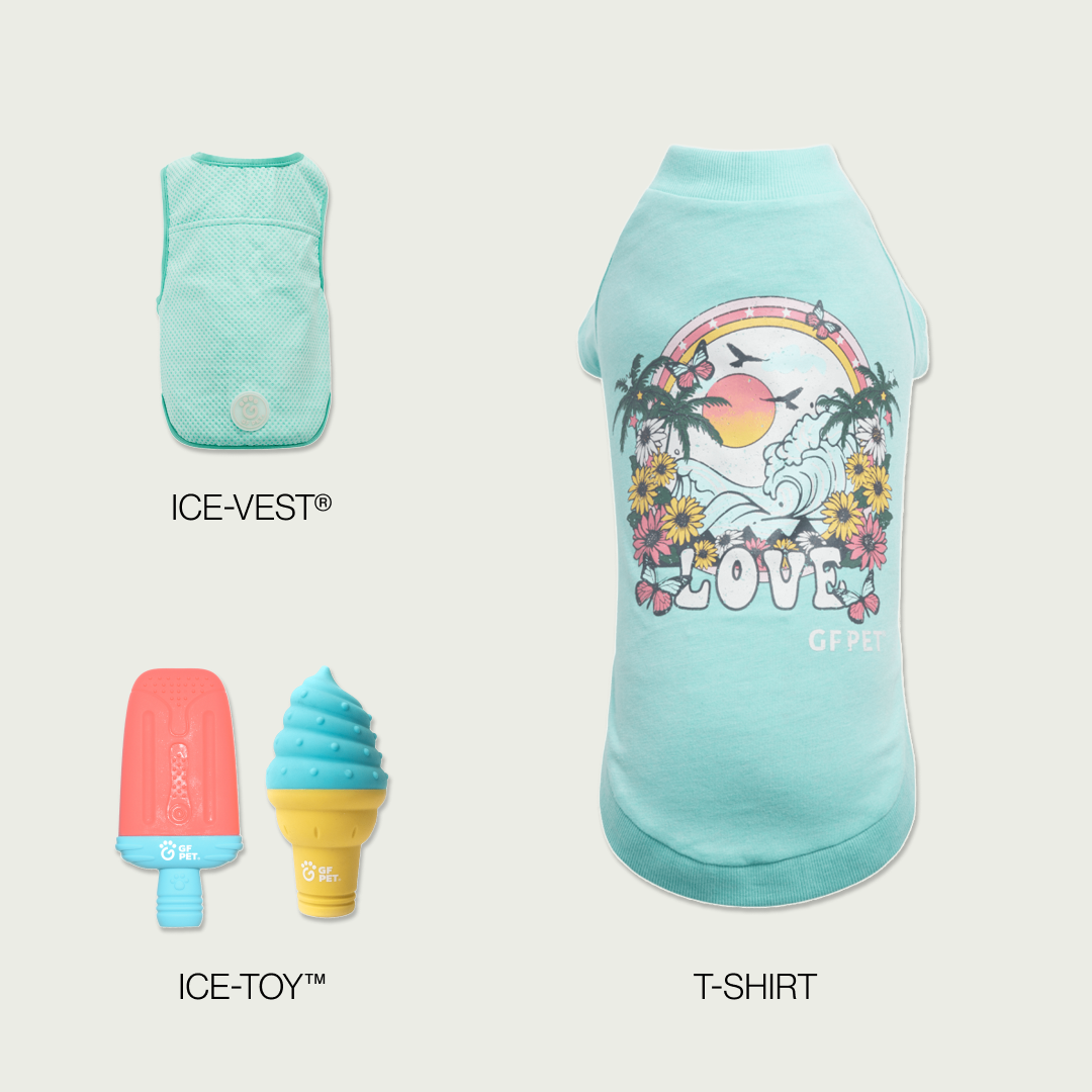 Cool & Chic | Set Premium de Enfriamiento de Verano | Perro Mediano