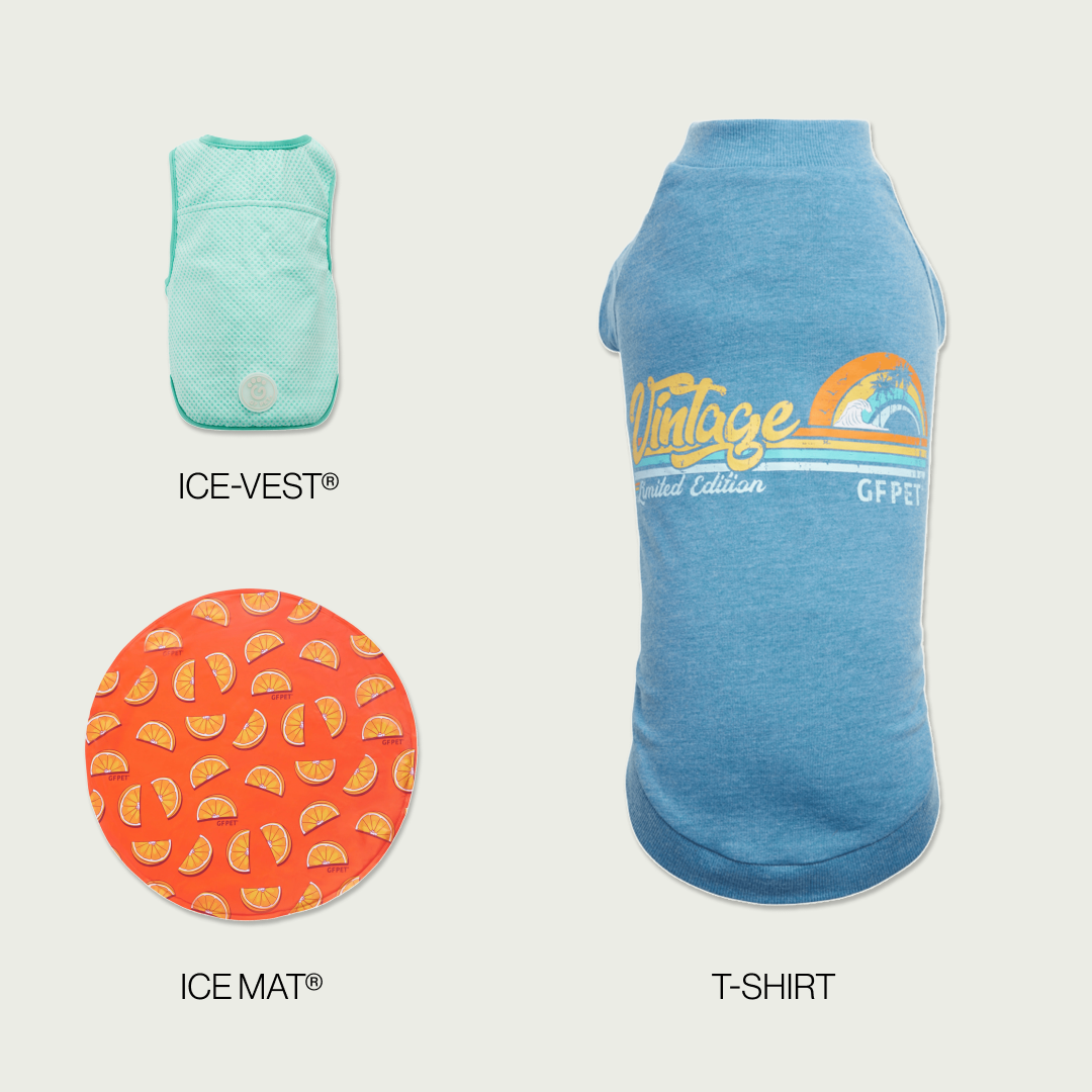 Kit Refrescante para Paseos de Verano | Perro Mediano