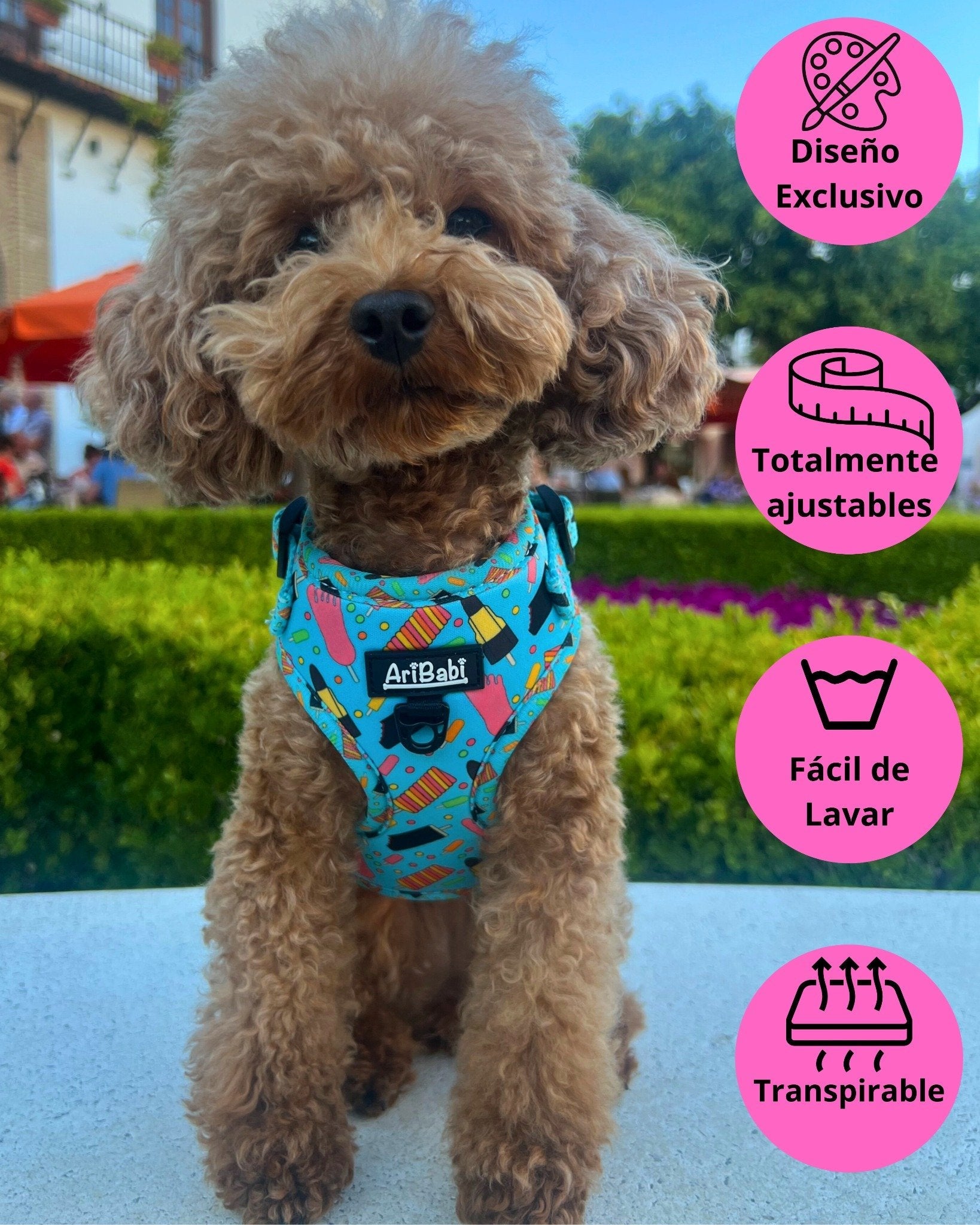 Arnés Ajustable FrigoPata