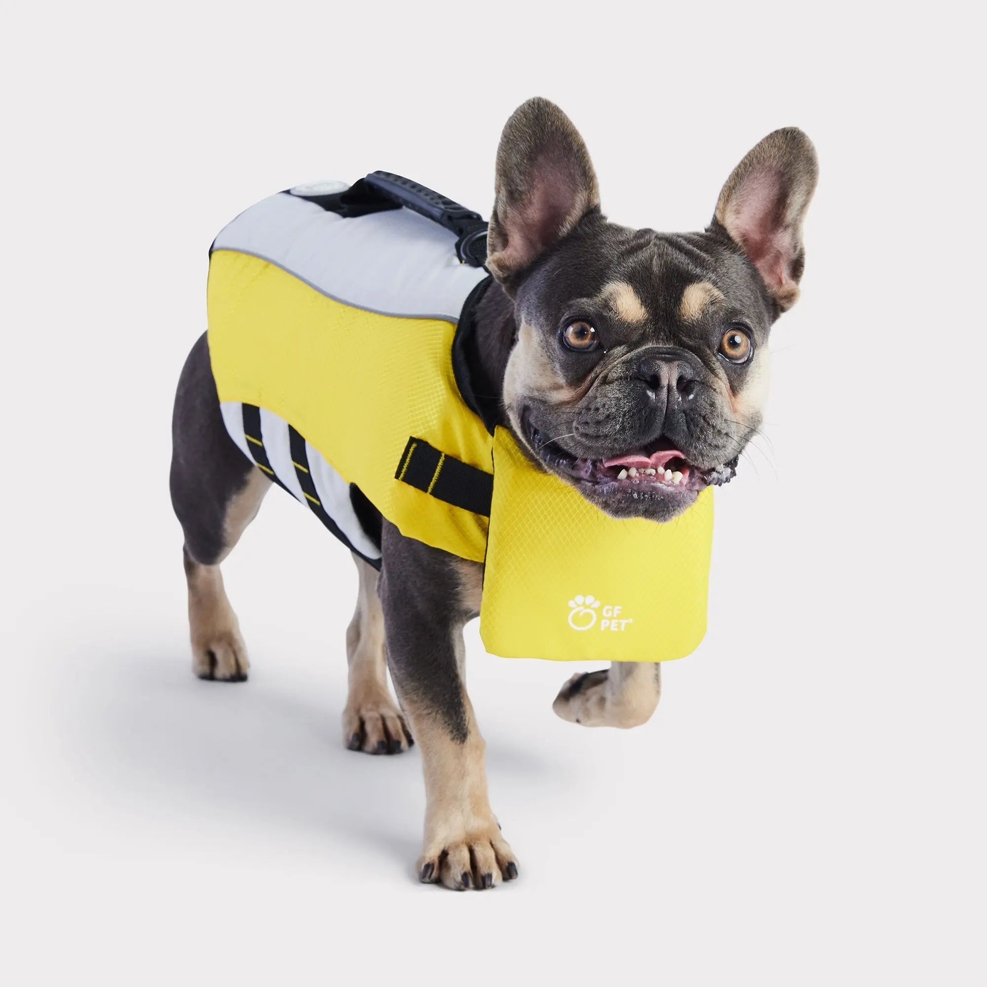 Chaleco Salvavidas para Perros | Amarillo 🛟🐶