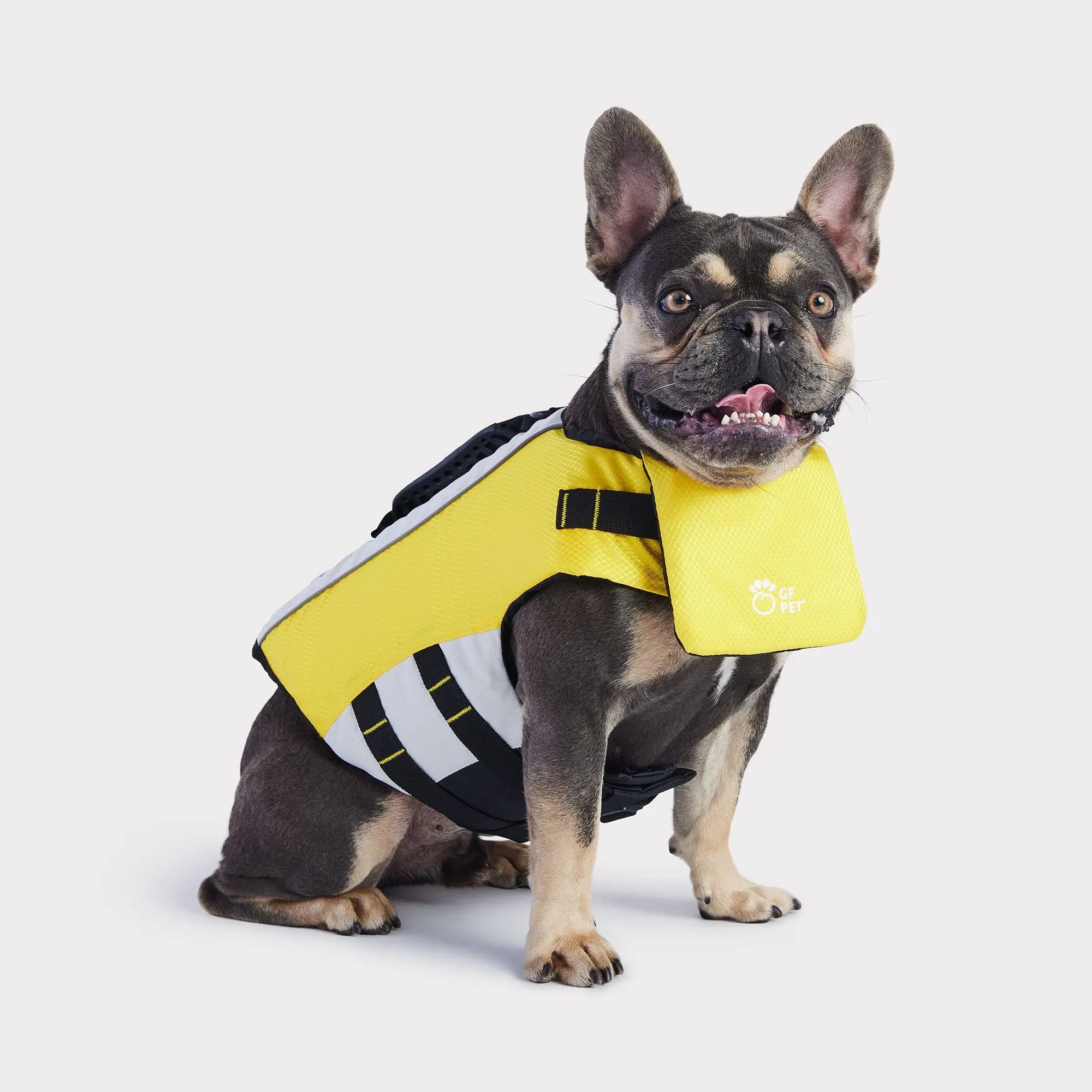Chaleco Salvavidas para Perros | Amarillo 🛟🐶