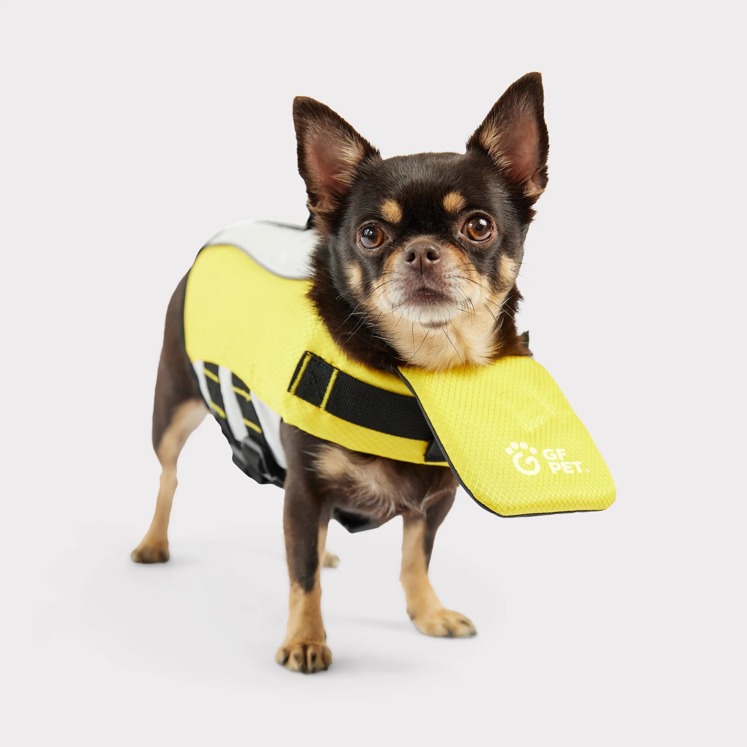 Chaleco Salvavidas para Perros | Amarillo 🛟🐶