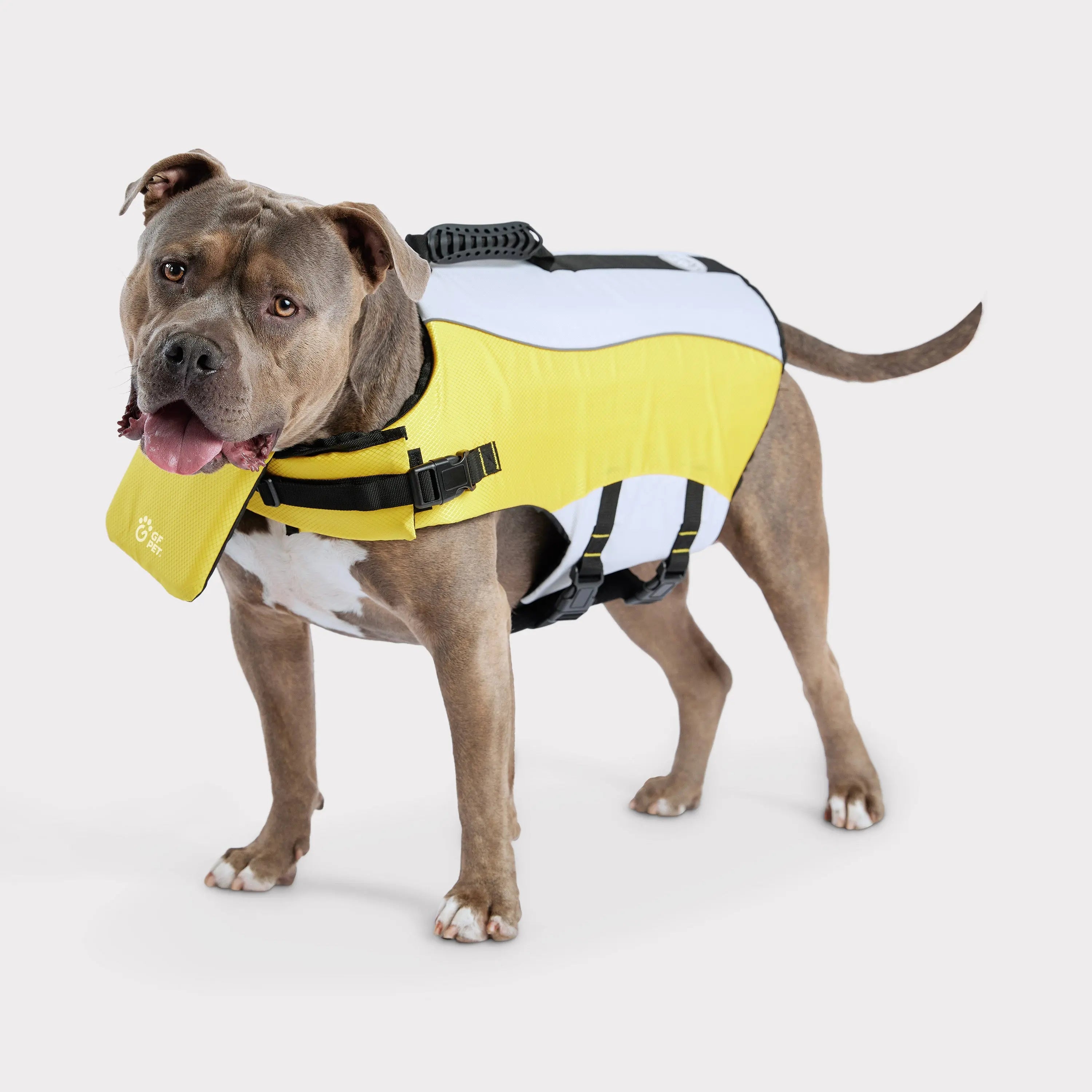 Chaleco Salvavidas para Perros | Amarillo 🛟🐶