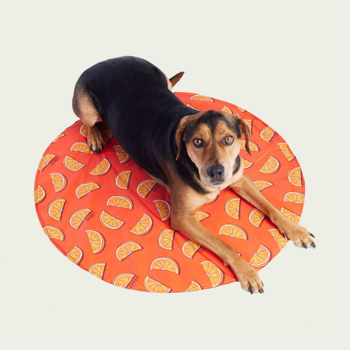 Alfombra Refrescante para Perros Ice Mat® | GF Pet de Canadá | Colores Surtidos