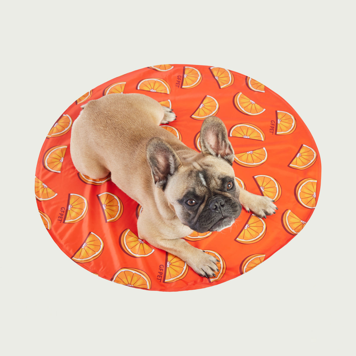 Alfombra Refrescante para Perros Ice Mat® | GF Pet de Canadá | Colores Surtidos