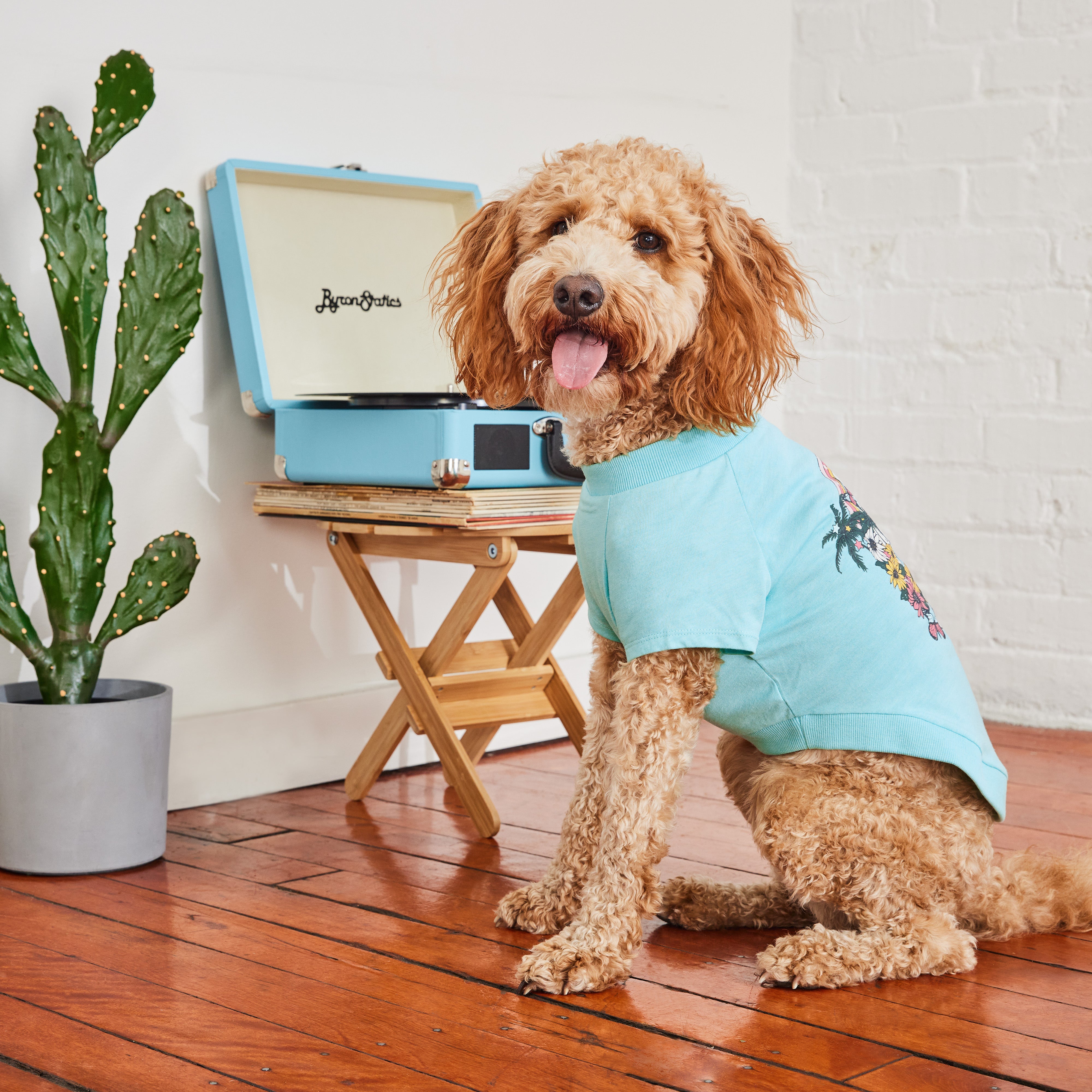 Cool & Chic | Set Premium de Enfriamiento de Verano | Perro Mediano