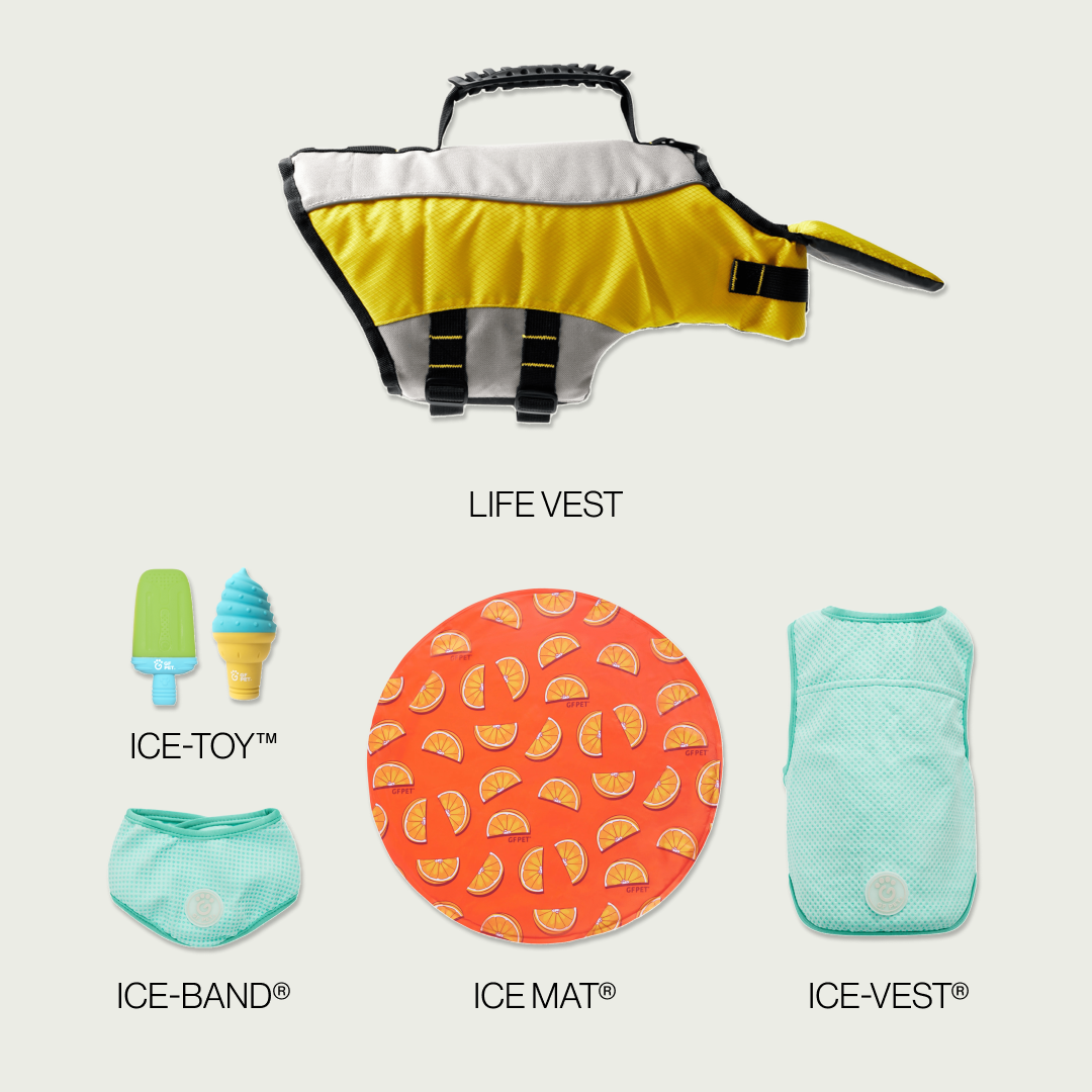 GF-Pet - Pack completo de enfriamiento para el verano | Perro mediano