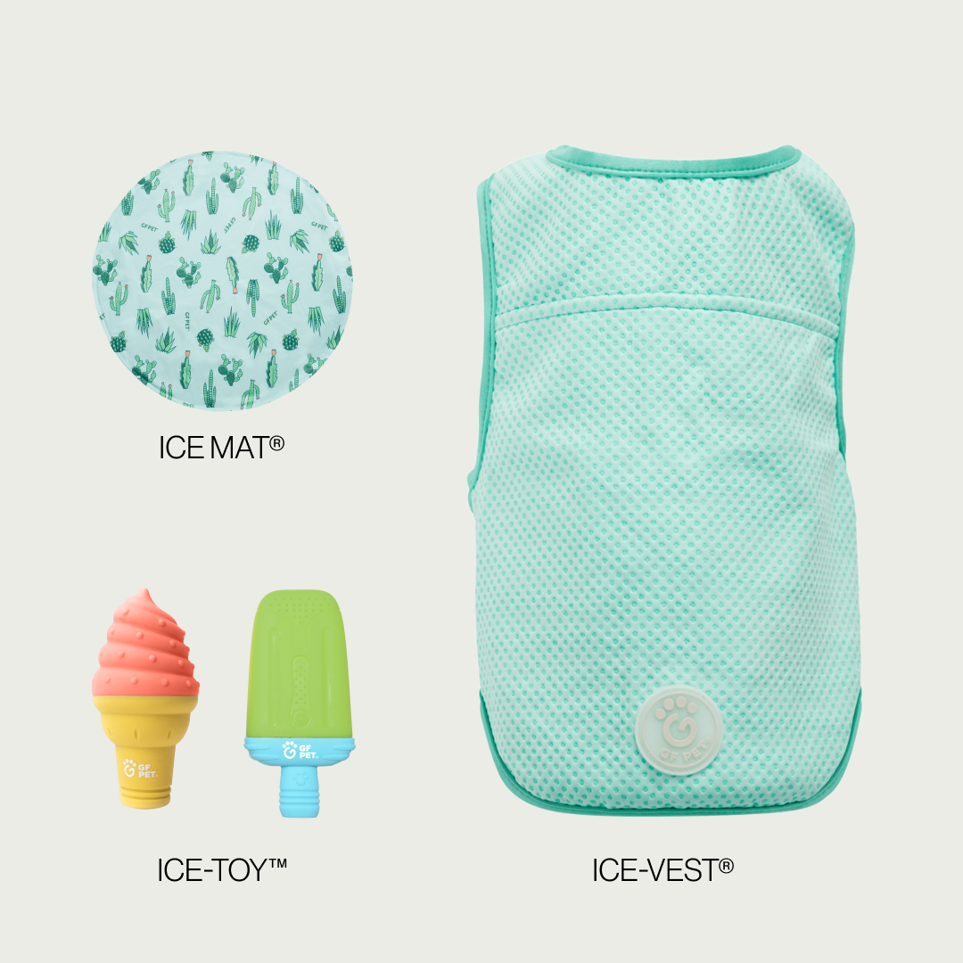 Set de Enfriamiento de Verano | Perros Medianos