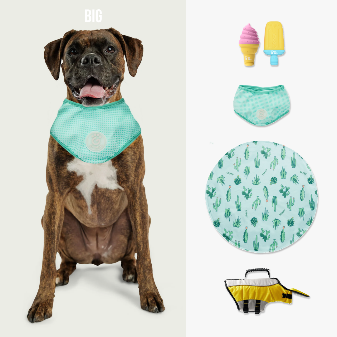 GF-Pet - Set Refrescante Compañero de Playa | Perro Grande