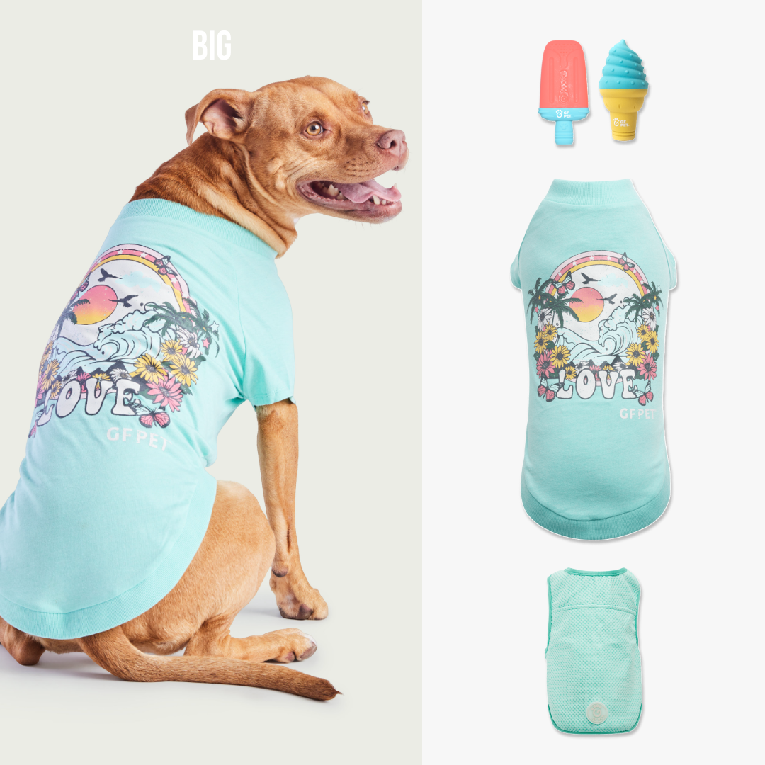 Cool & Chic | Set Premium de Enfriamiento de Verano | Perro Grande