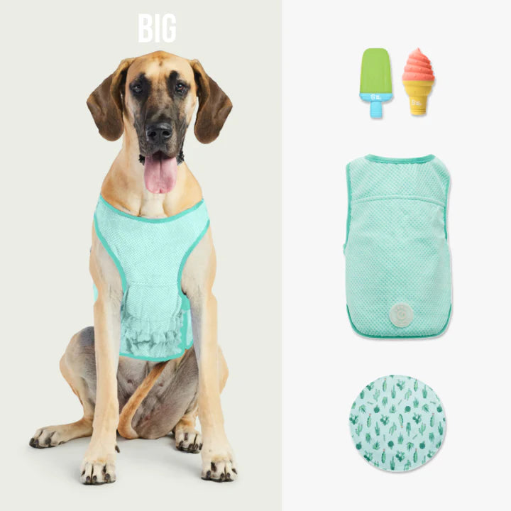 Set de Enfriamiento de Verano | Perros Grandes