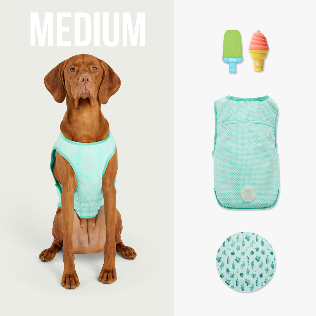Set de Enfriamiento de Verano | Perros Medianos