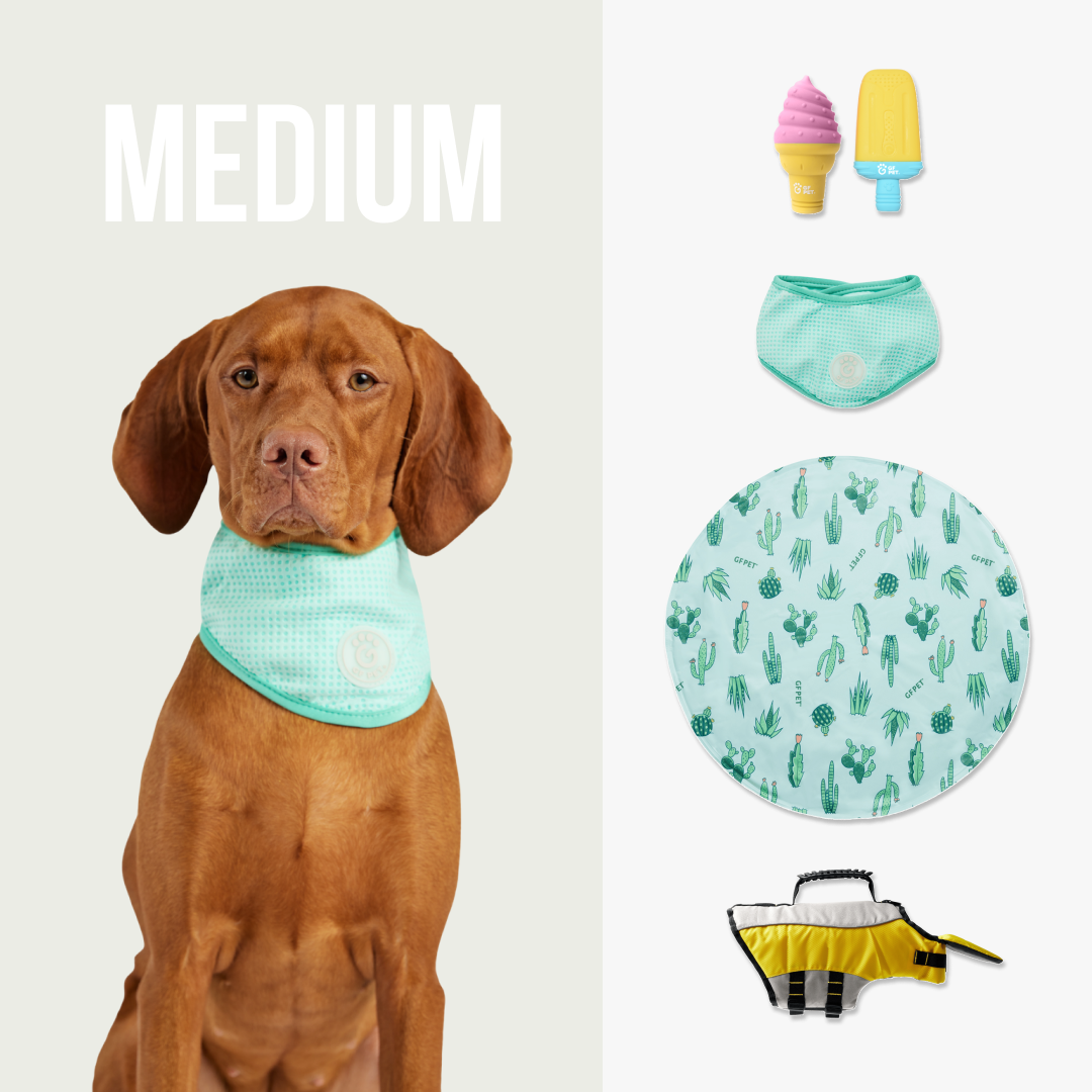 GF-Pet - Set Refrescante Compañero de Playa | Perro Mediano
