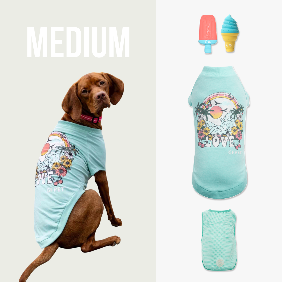 Cool & Chic | Set Premium de Enfriamiento de Verano | Perro Mediano