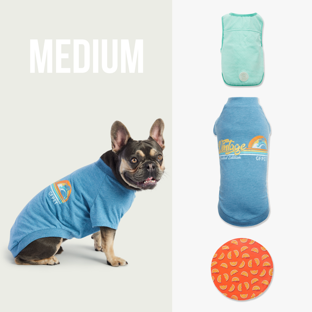 Kit Refrescante para Paseos de Verano | Perro Mediano
