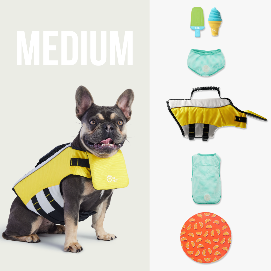 GF-Pet - Pack completo de enfriamiento para el verano | Perro mediano