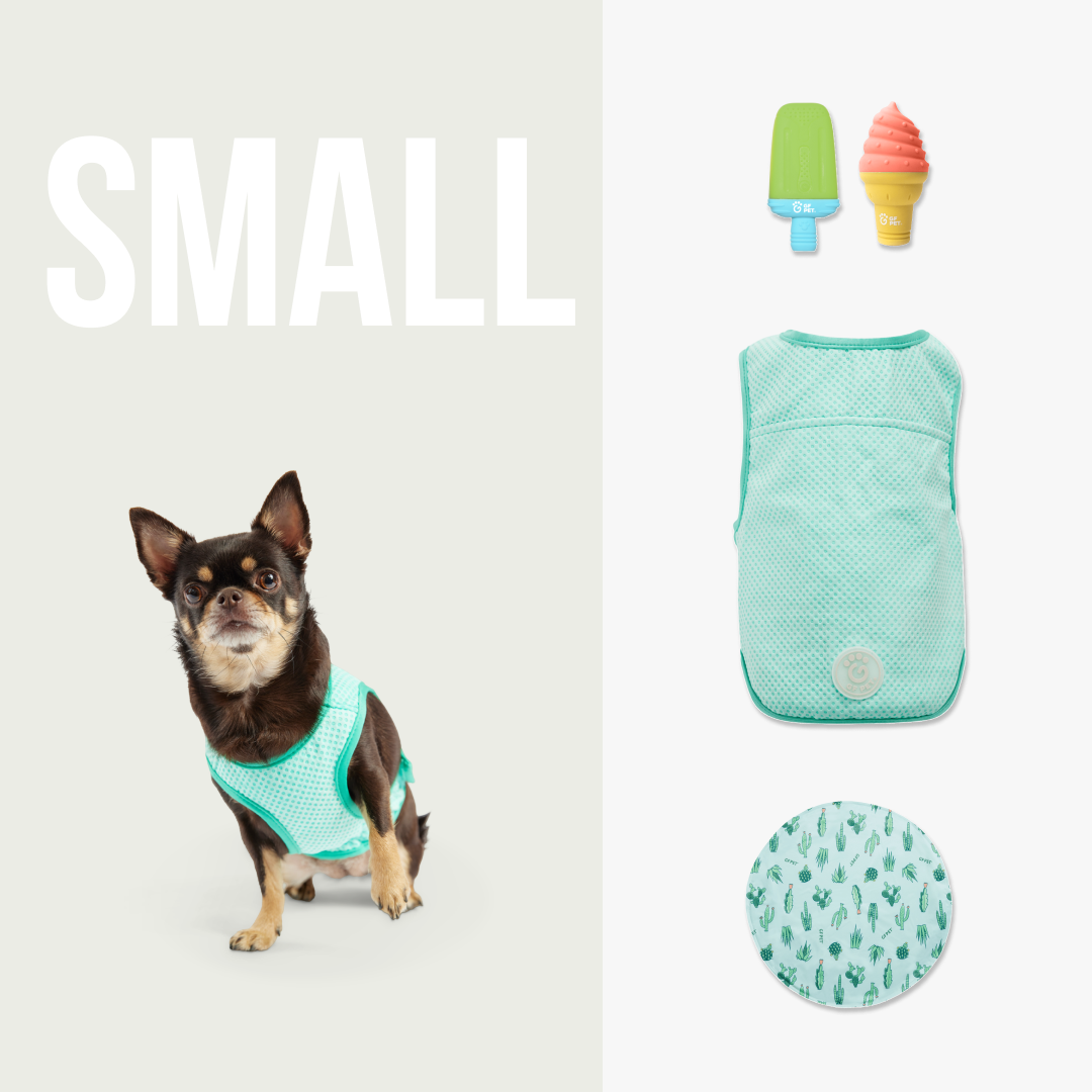 Set de Enfriamiento de Verano | Perros Pequeños
