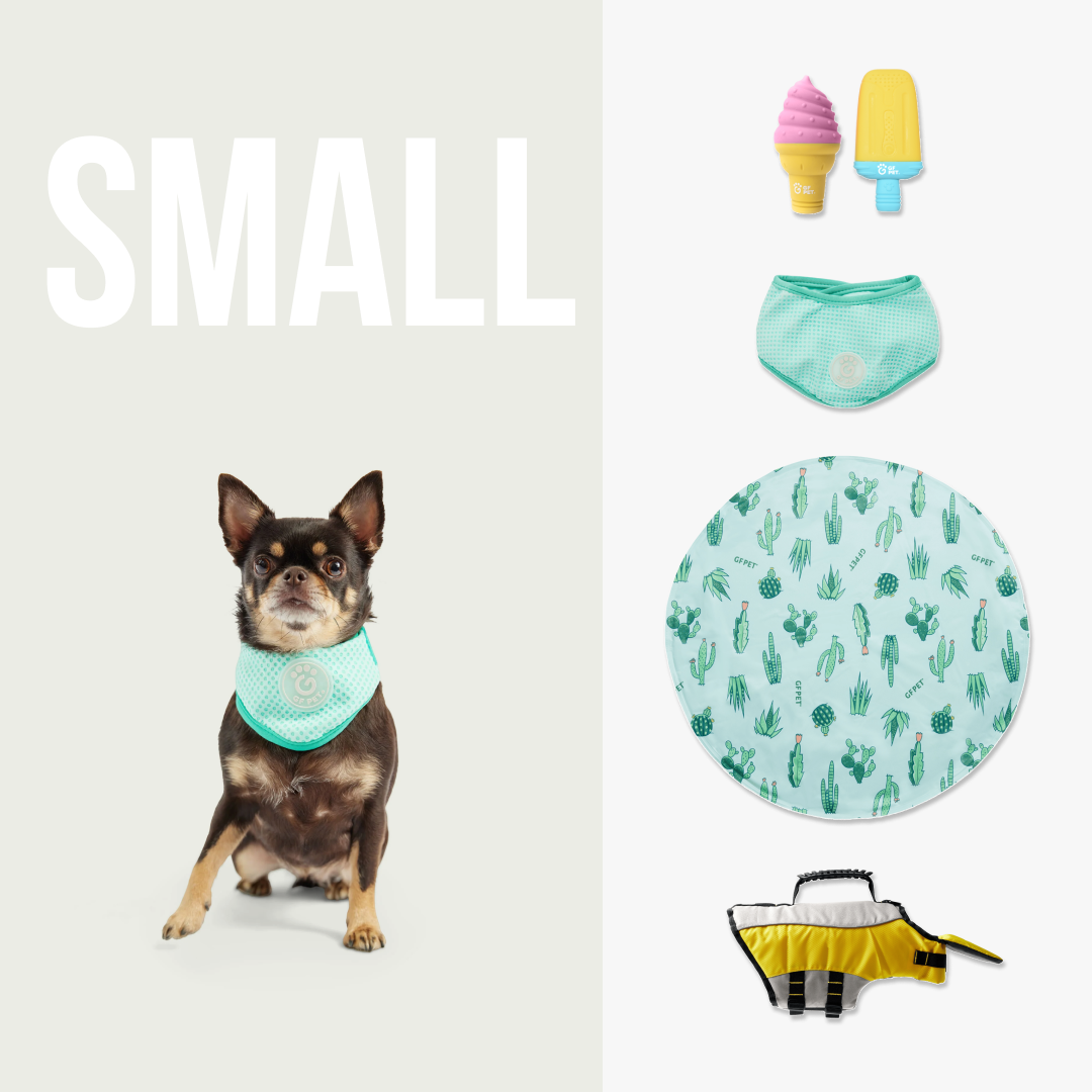GF Pet - Set Refrescante Beach Buddy | Perros Pequeños