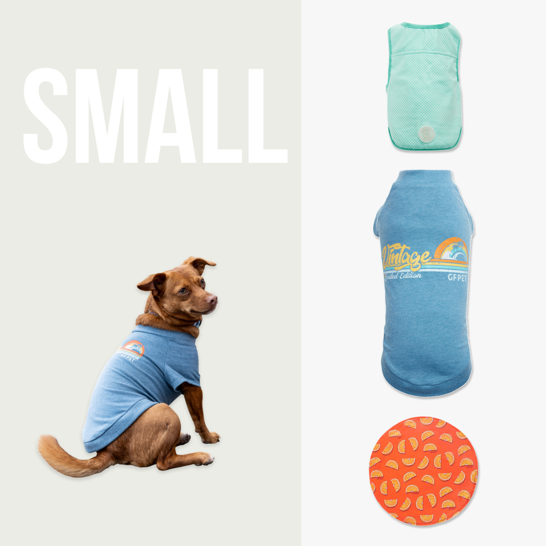 Kit Refrescante para Paseos de Verano | Perro Pequeño
